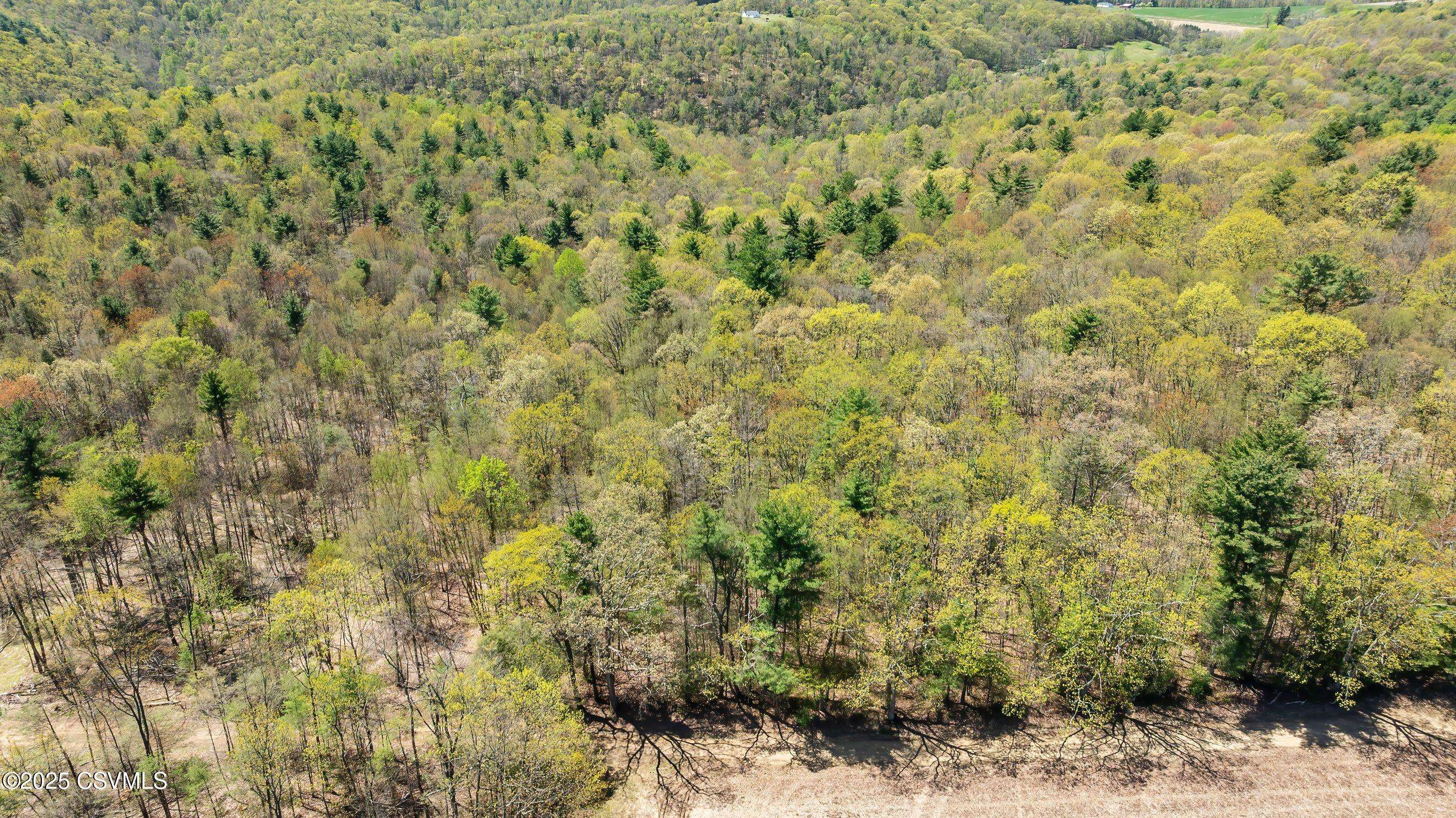 Millville, PA 17846,LOT 2 PATTON HILL RD
