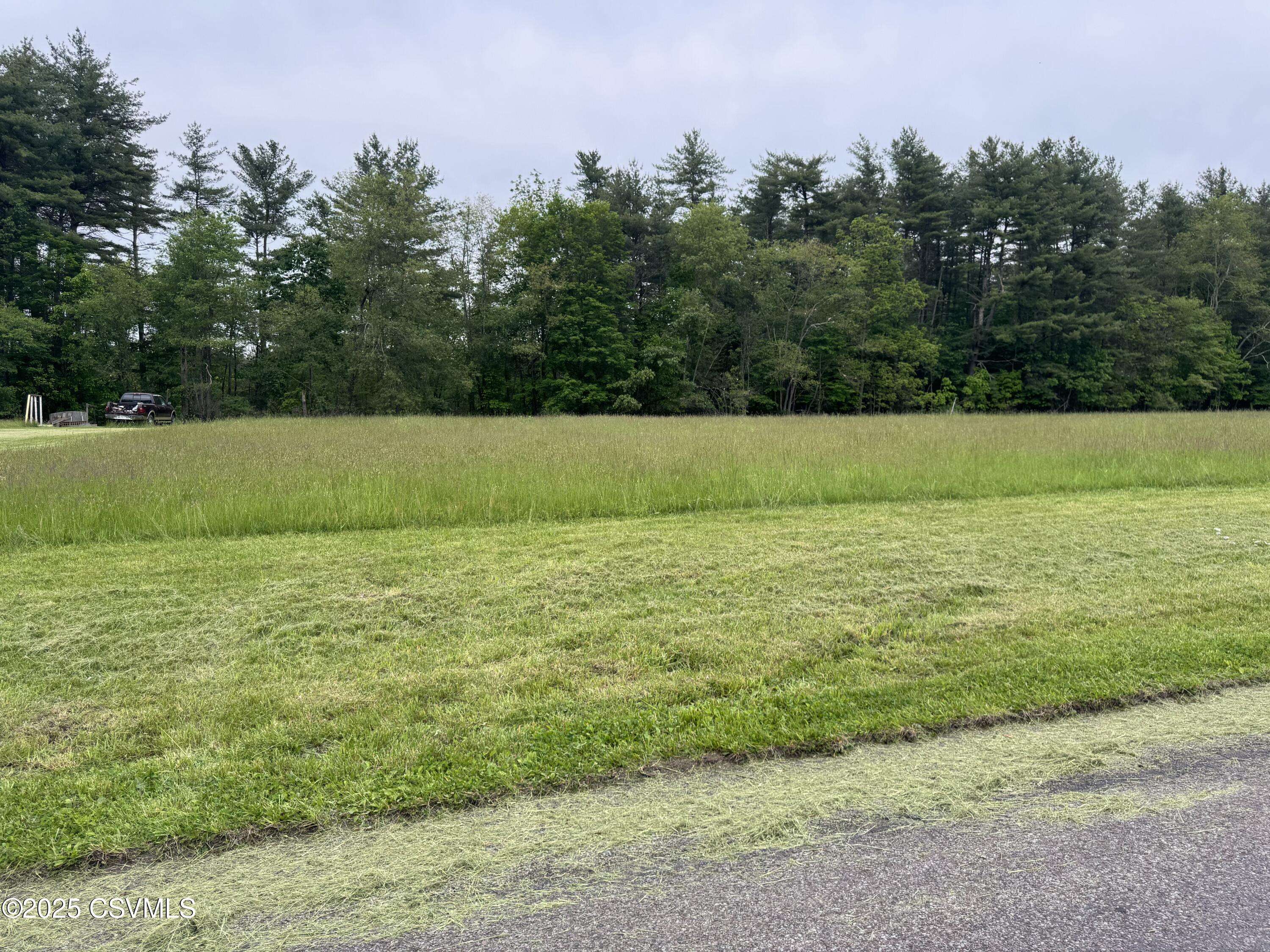 Shickshinny, PA 18655,LOT 3 MOUNTAIN RD