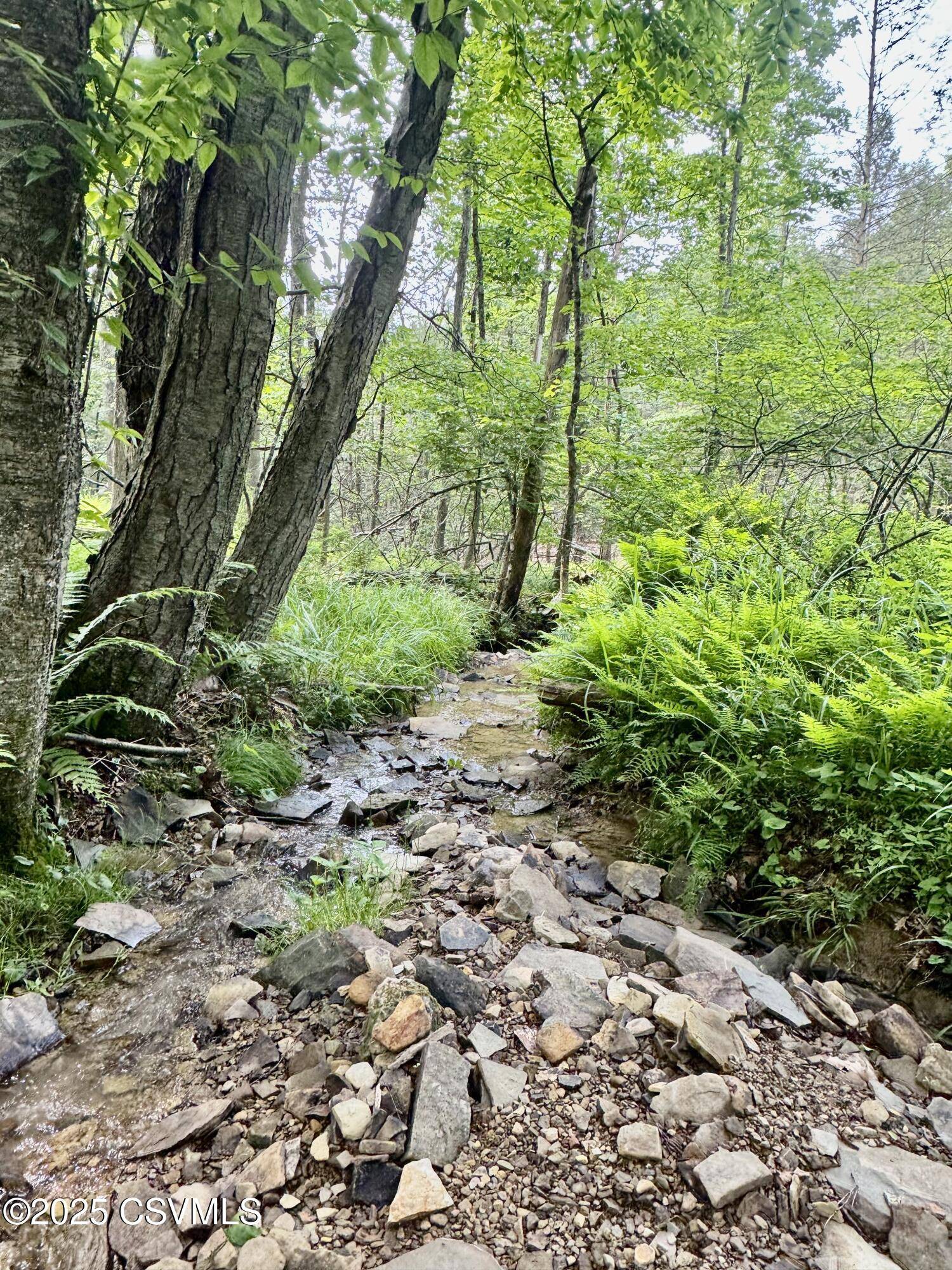 Millville, PA 17846,HOLLOW RD