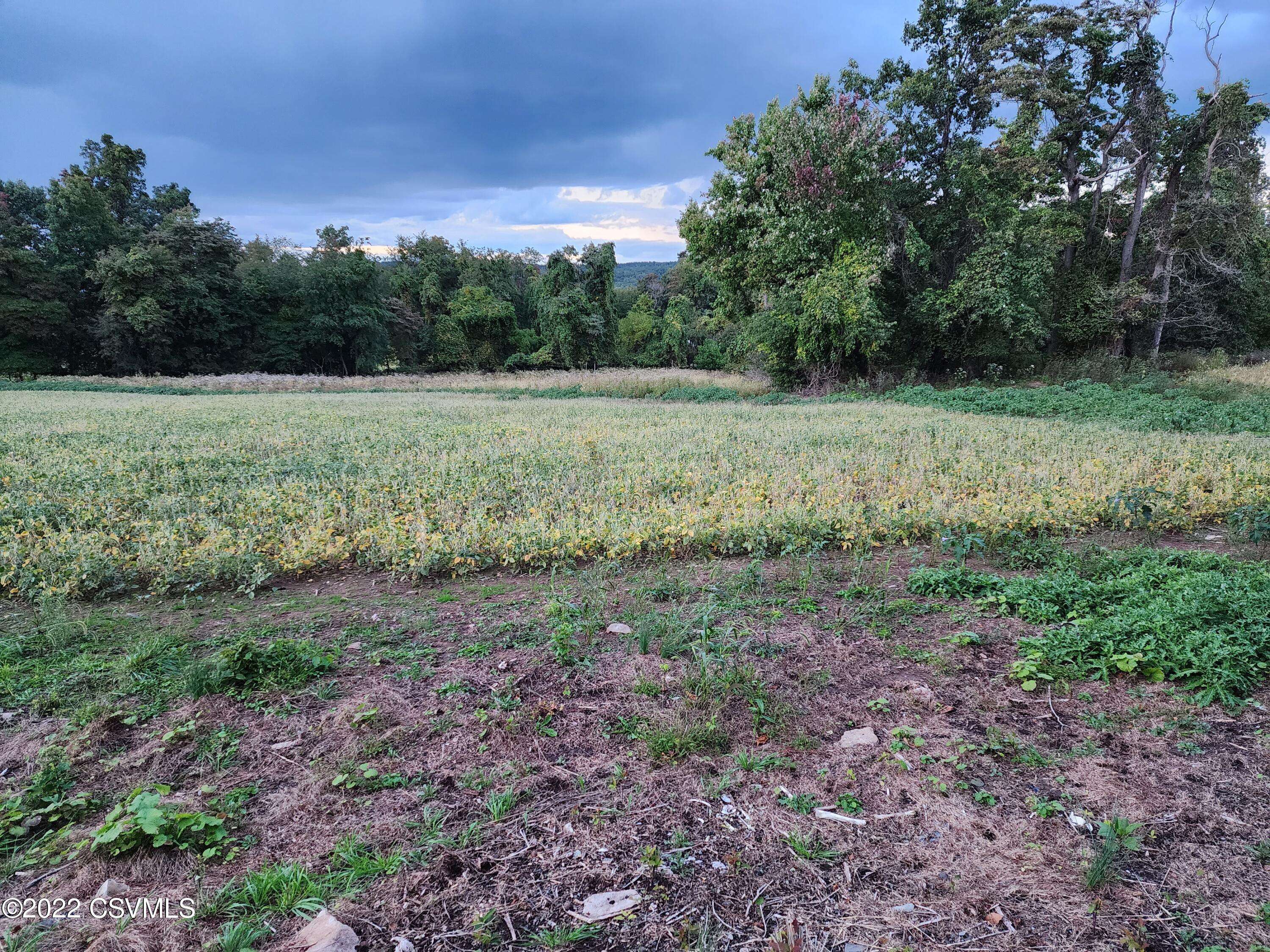 Paxinos, PA 17860,LOT 8 MOUNTAIN RD