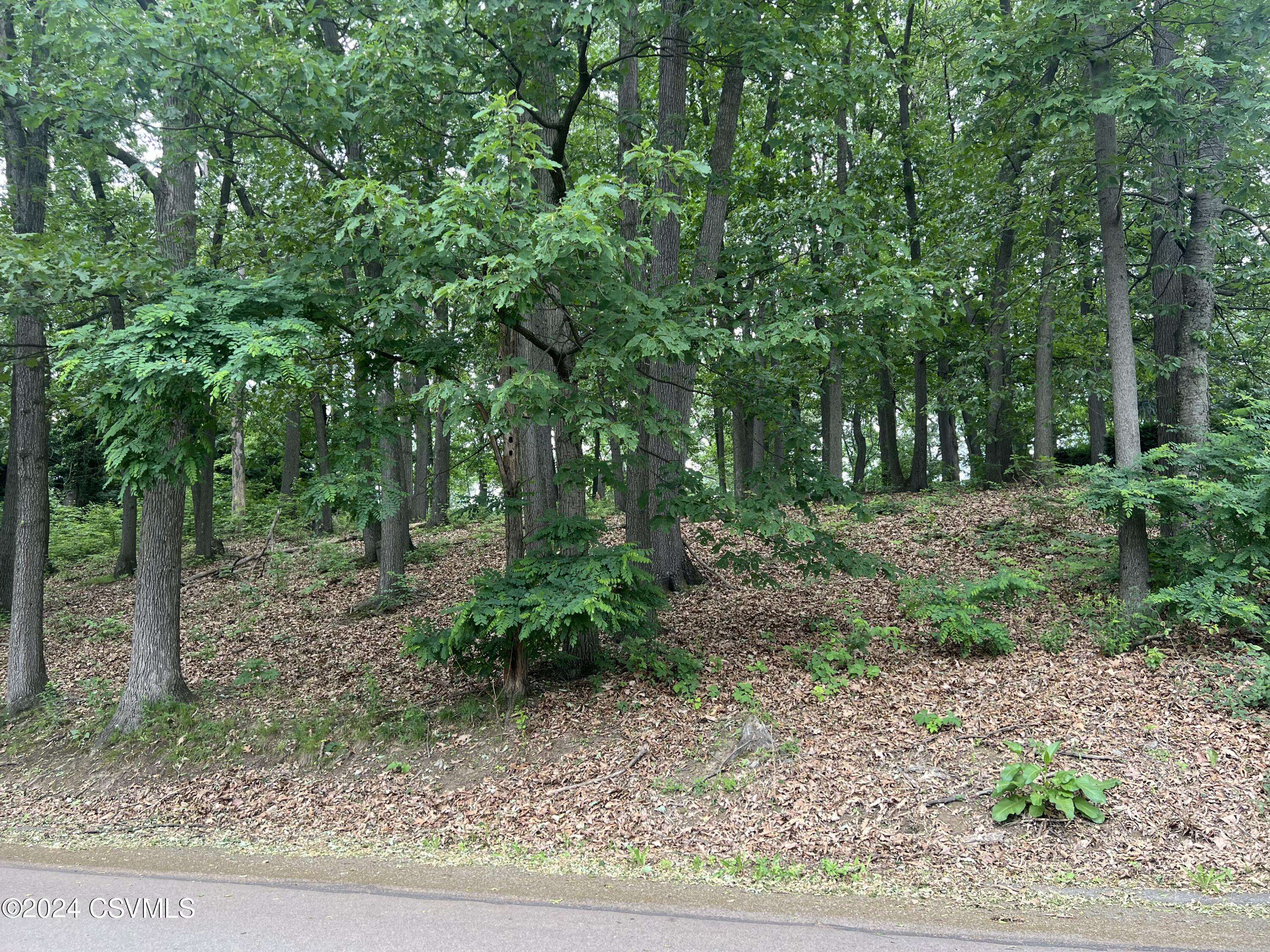 Selinsgrove, PA 17870,14 FAIRWAY DR