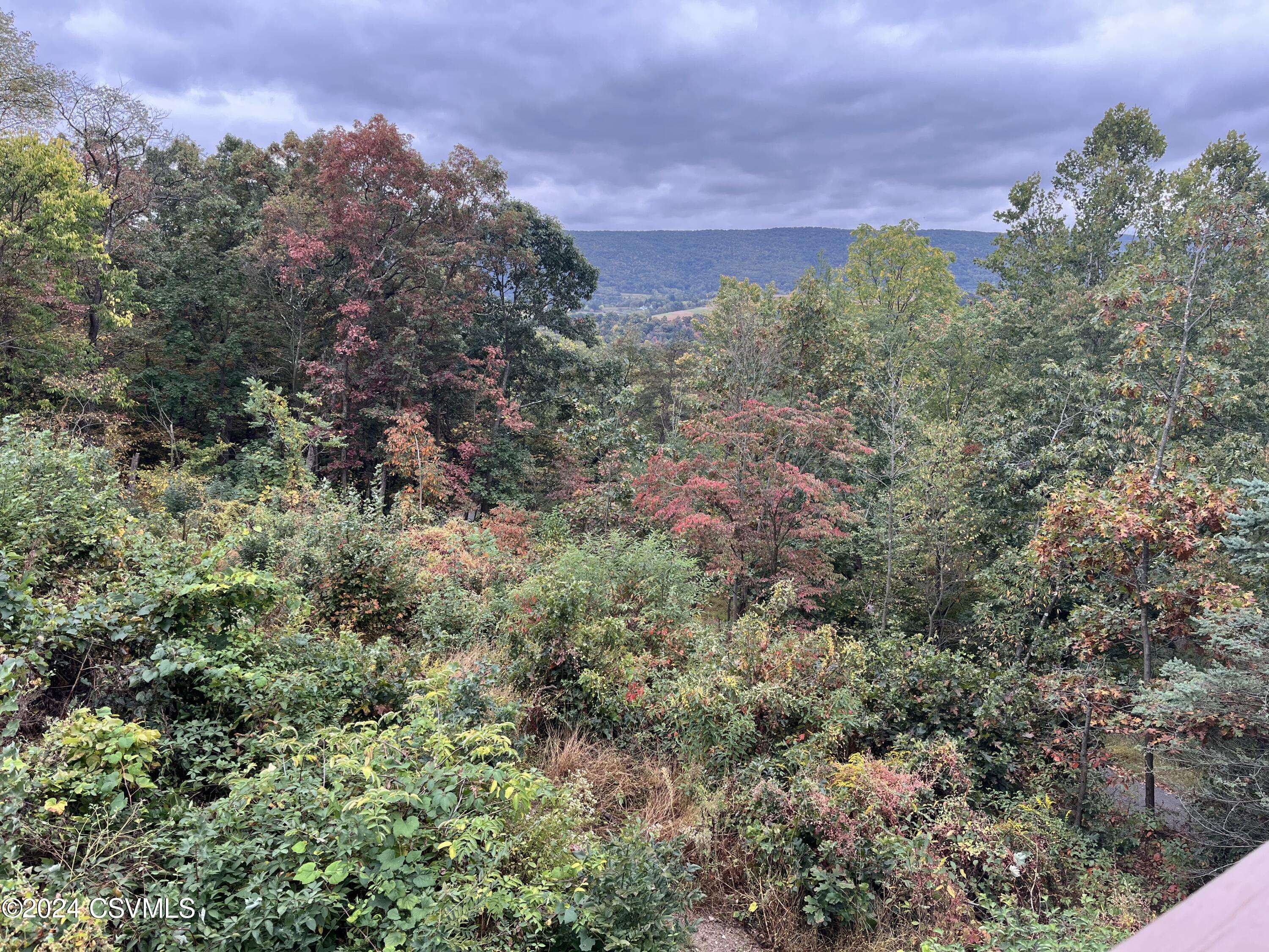 Nescopeck, PA 18635,87 YUDISKYS RD