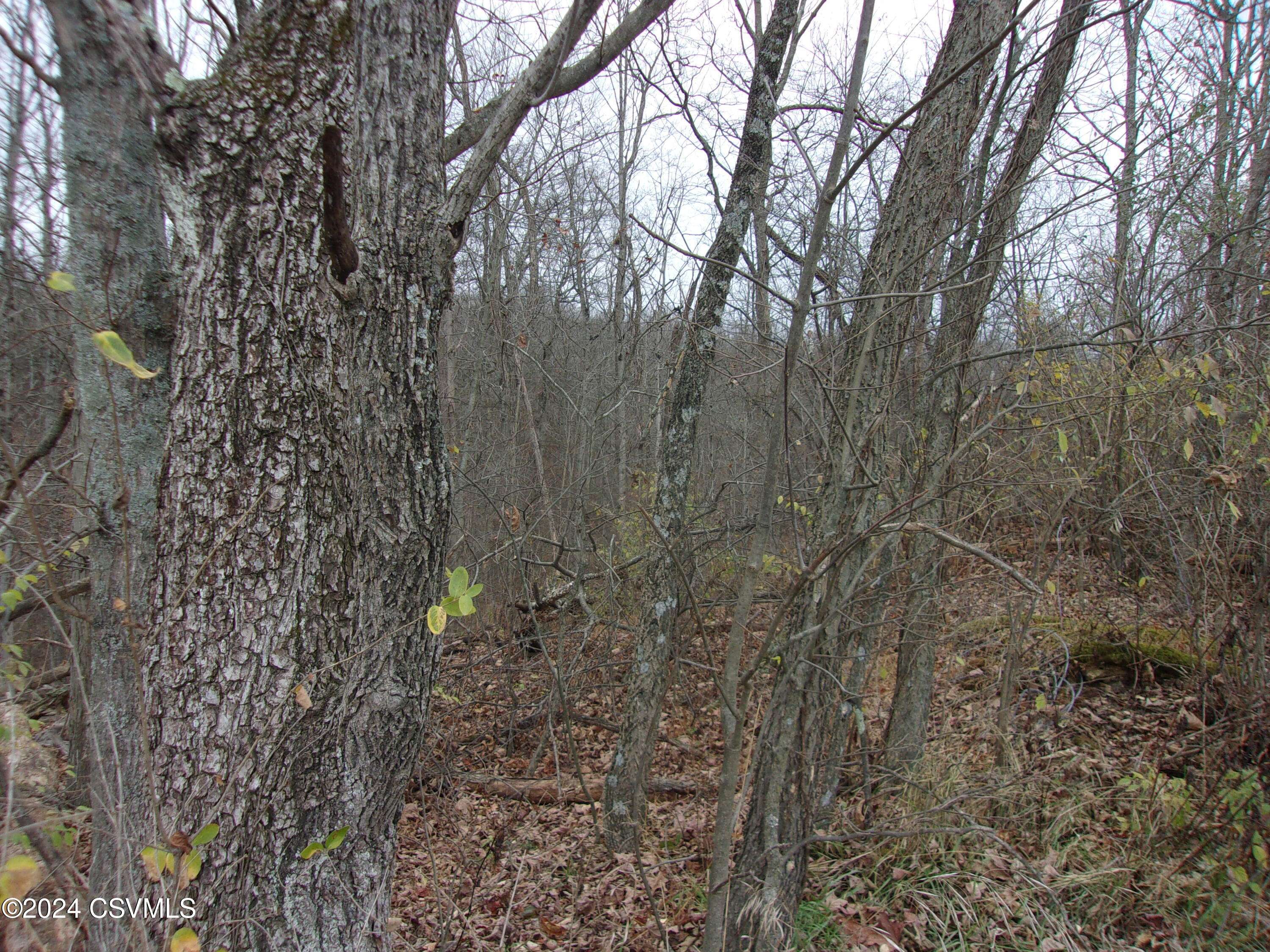 Watsontown, PA 17777,CRAWFORD RD