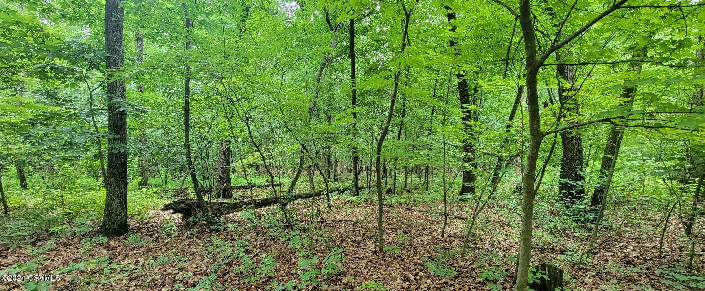 Nescopeck, PA 18635,LOT 8 COLLISTER DR