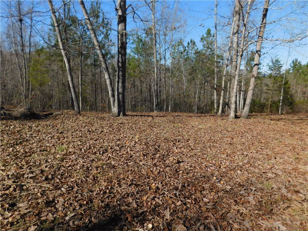 Salem, SC 29676,JC5 Eagle's Bend TRL
