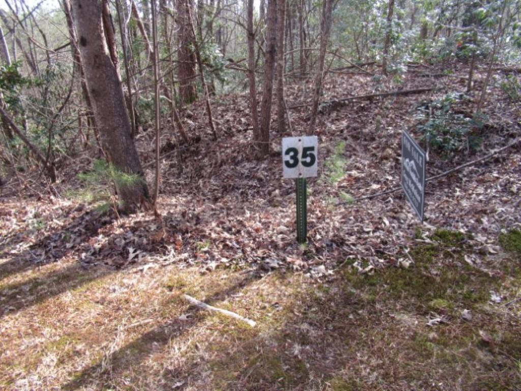 Cleveland, SC 29635,11 Matthews Creek LN