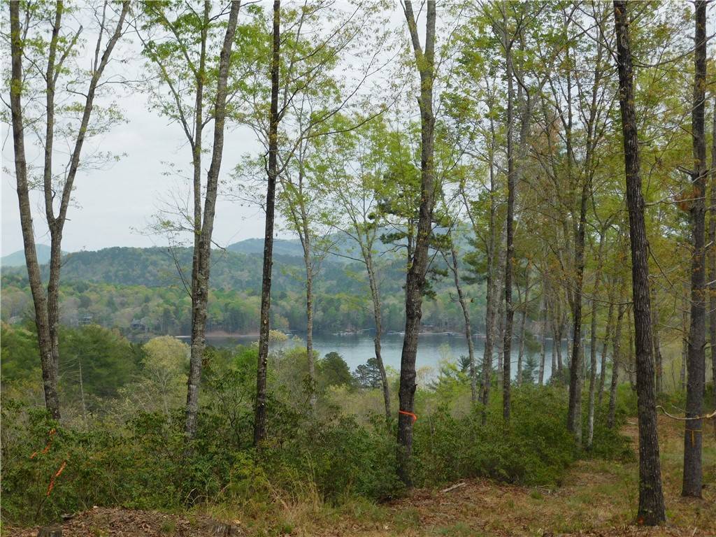 Salem, SC 29676,Lot 1 Old Chapman Bridge RD