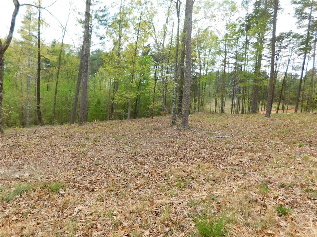 Salem, SC 29676,Lot 1 Old Chapman Bridge RD