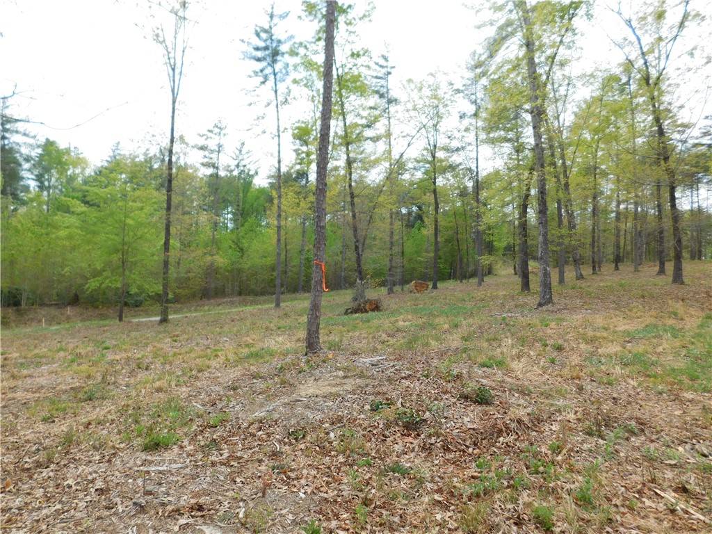 Salem, SC 29676,Lot 3 Old Chapman Bridge RD