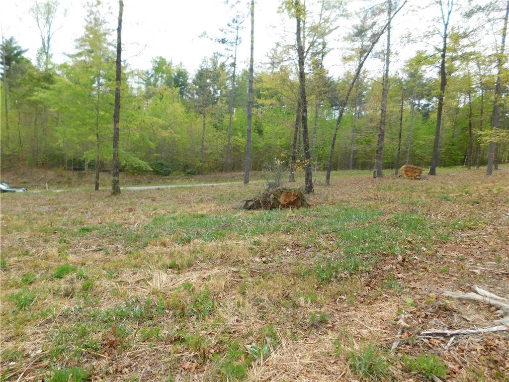 Salem, SC 29676,Lot 3 Old Chapman Bridge RD