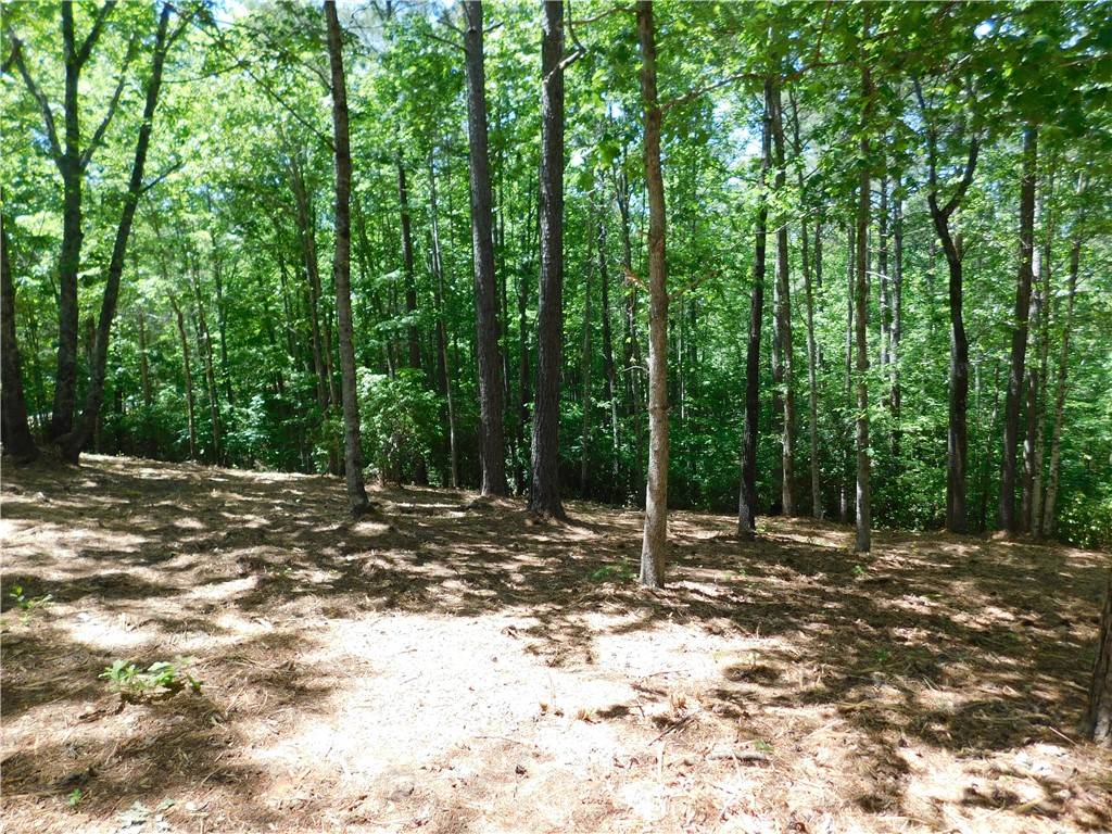 Salem, SC 29676,392 Cliffs South Pkwy