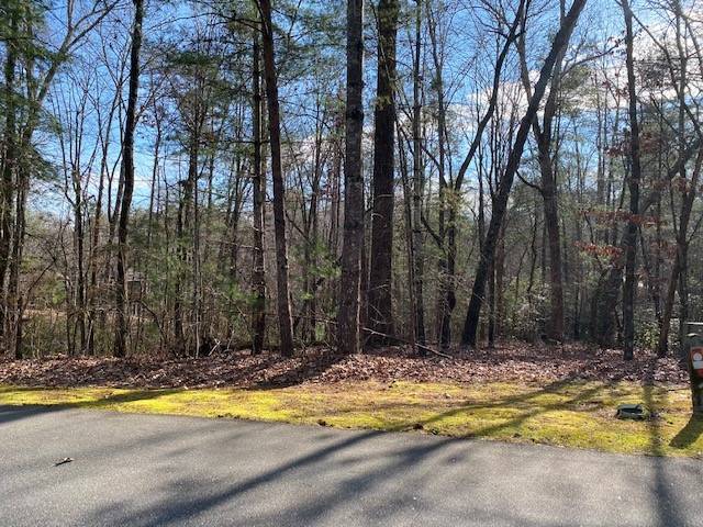 Salem, SC 29676,Lot 39 Turtlehead DR