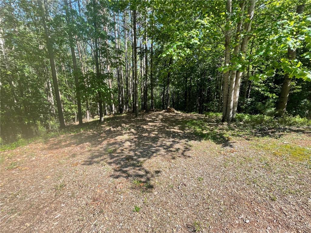 Six Mile, SC 29682,182 Creek Stone CT
