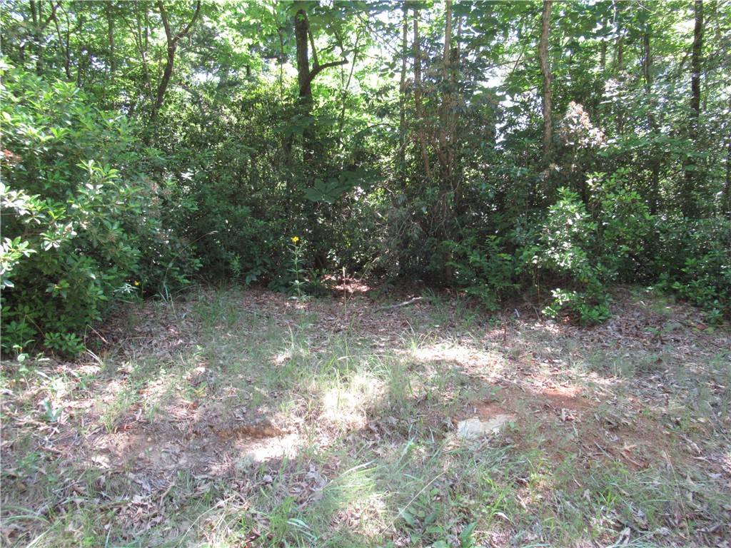 Pickens, SC 29671,371 Gauley Falls RD