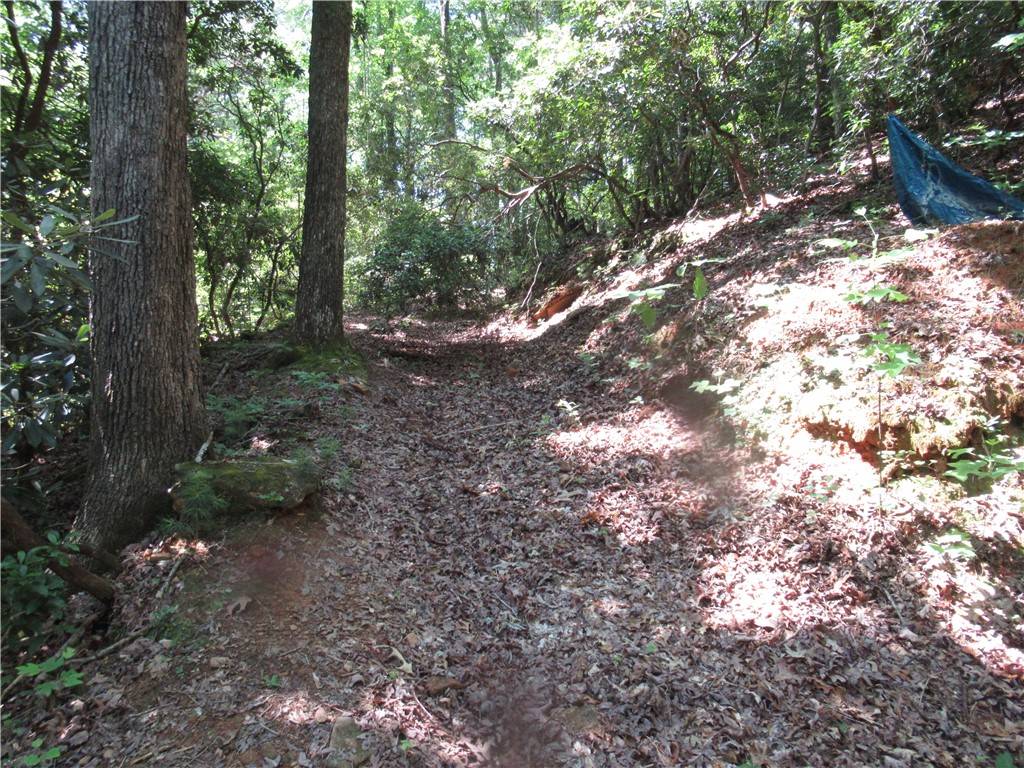 Pickens, SC 29671,371 Gauley Falls RD