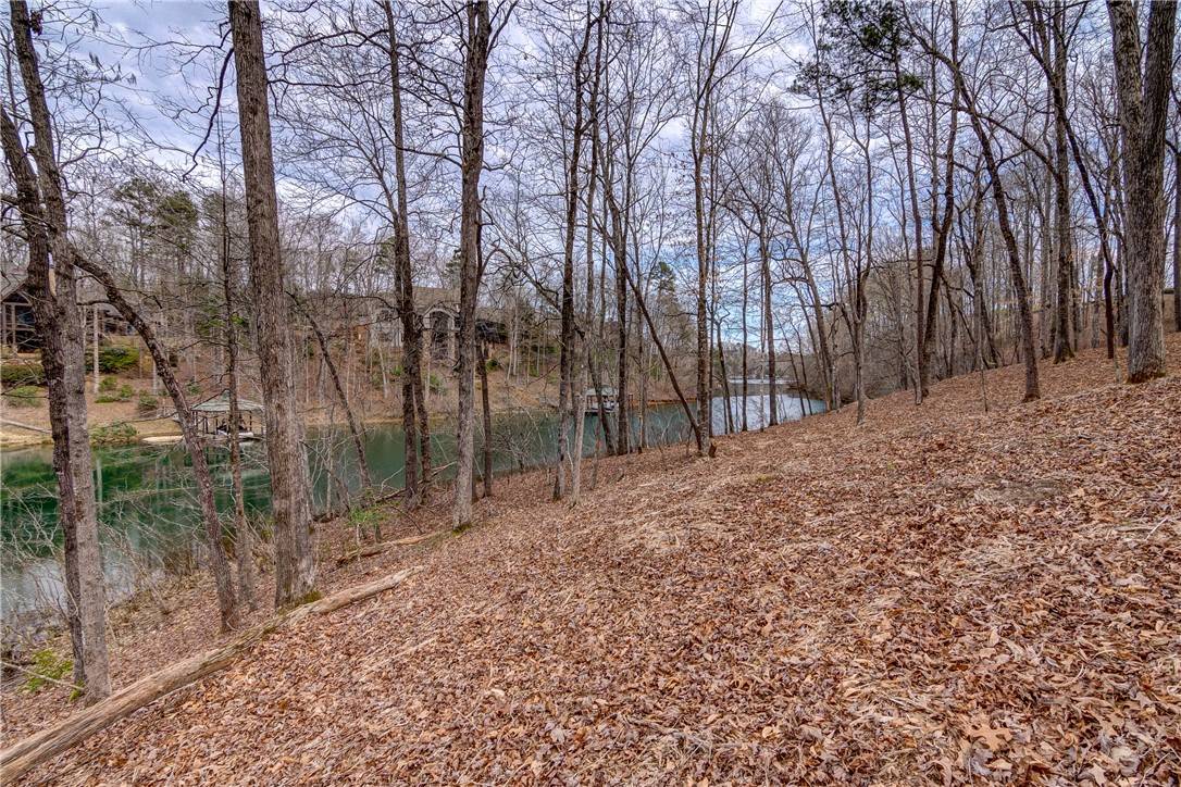 Salem, SC 29676,Lot 6 Grays Peak DR
