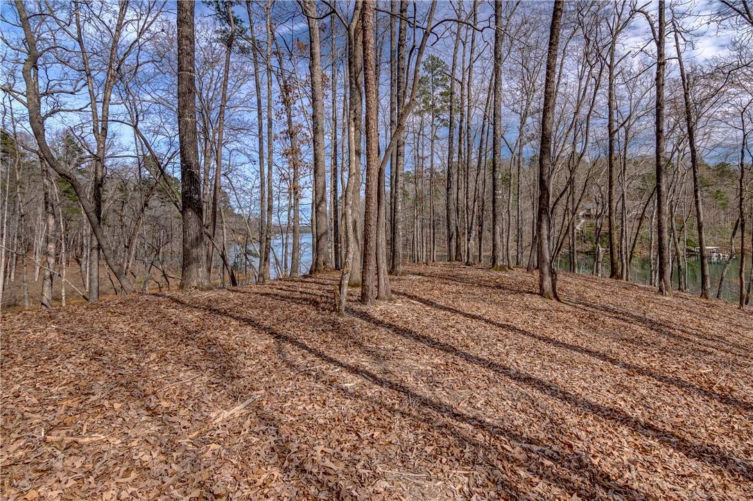 Salem, SC 29676,Lot 16 Crestone CT