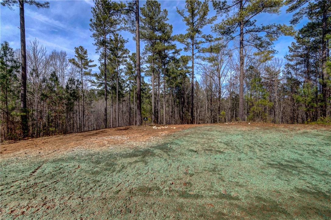 Salem, SC 29676,Lot 1 Grays Peak DR