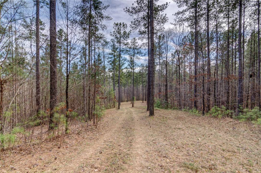 Salem, SC 29676,Lot 19 Grays Peak DR