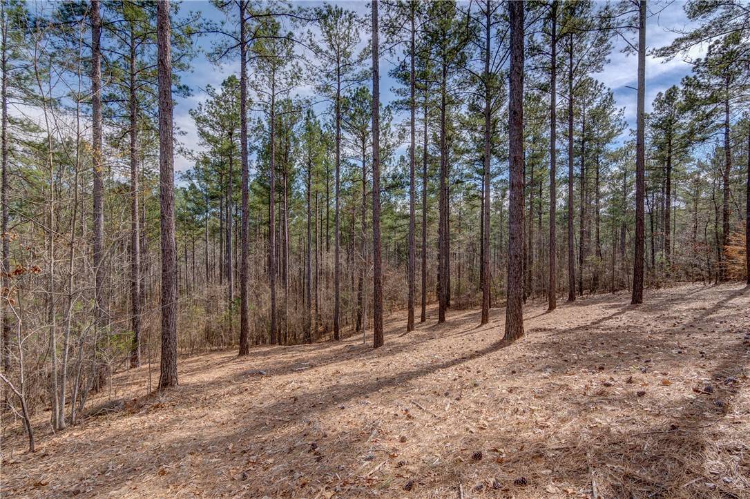 Salem, SC 29676,Lot 20 Grays Peak DR
