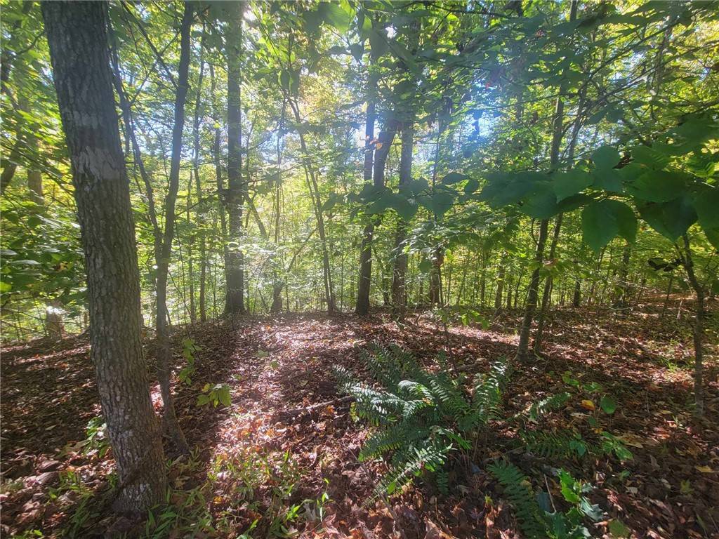 Westminster, SC 29693,Lot 227 Boxwood LN