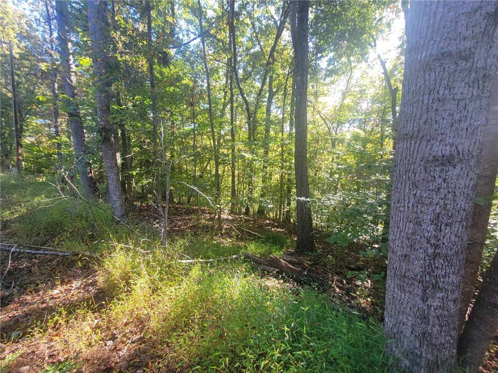 Westminster, SC 29693,Lot 227 Boxwood LN