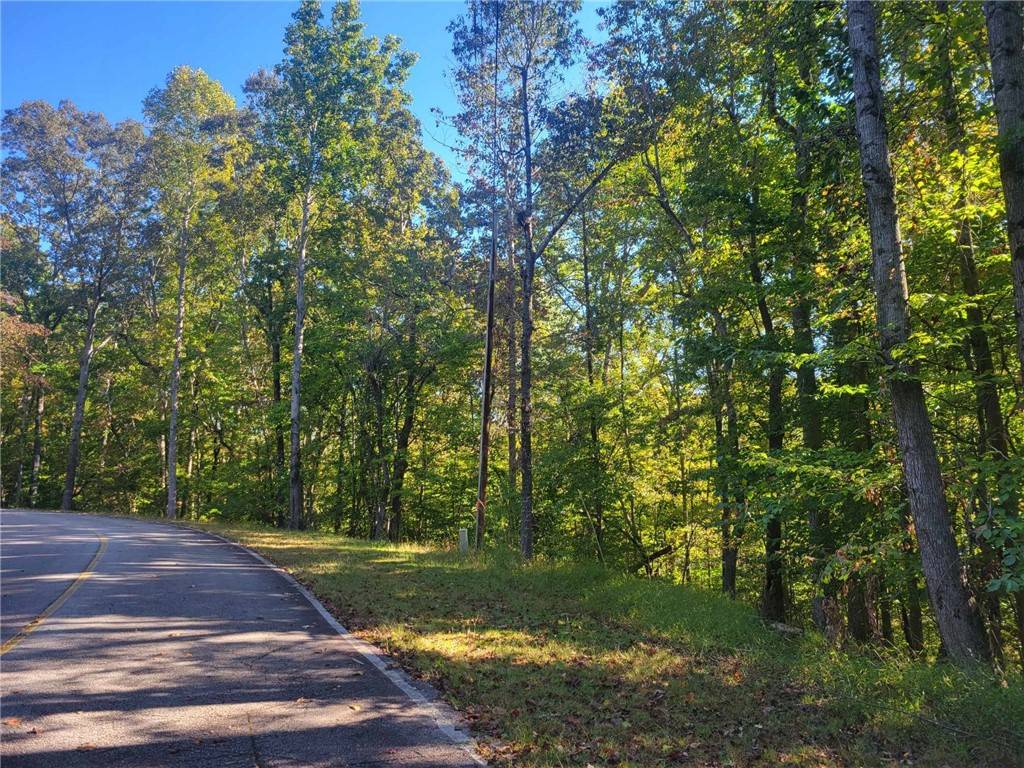 Westminster, SC 29693,Lot 228 Boxwood LN