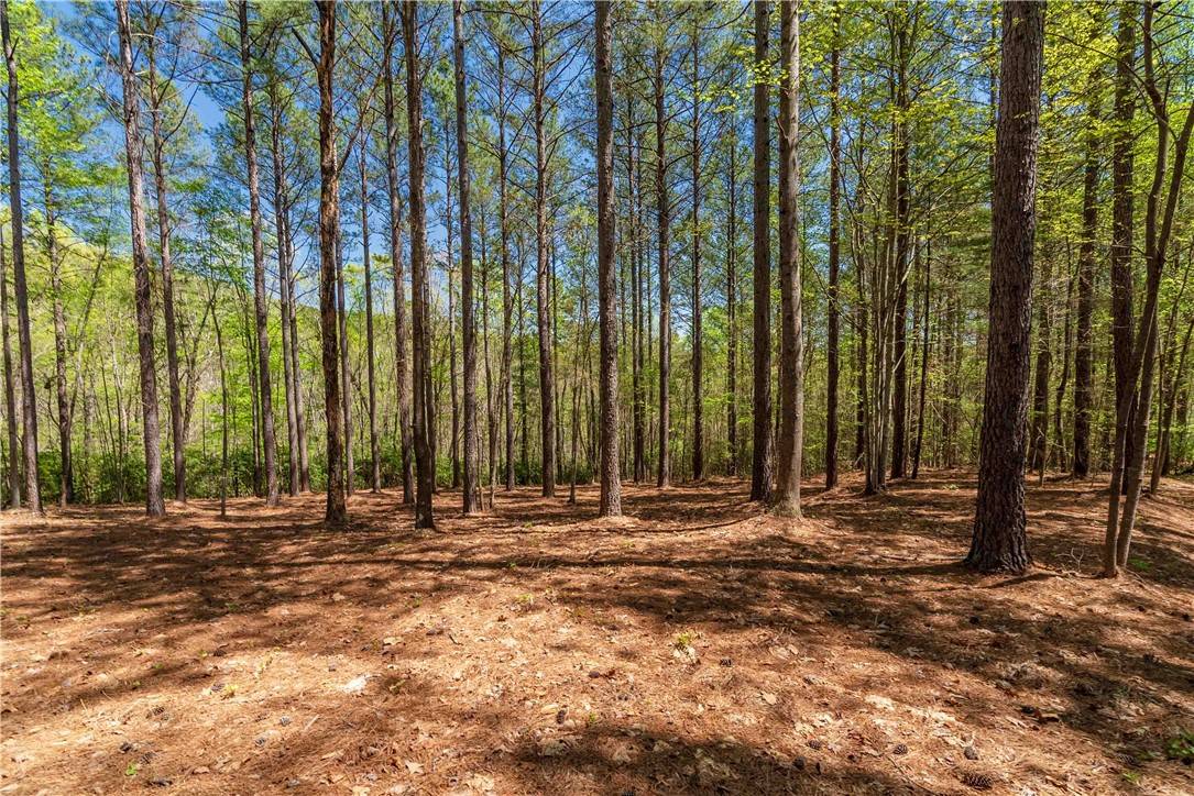 Salem, SC 29676,Lot 2 Canebrake DR
