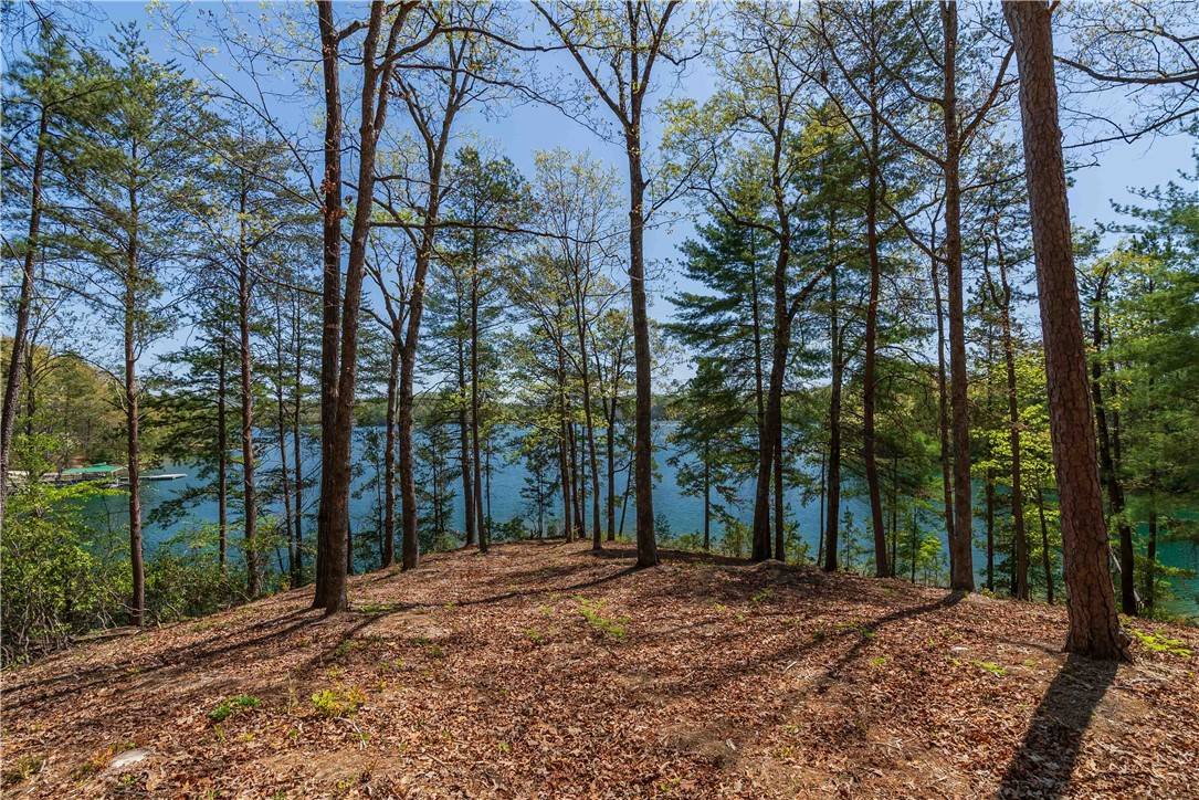 Salem, SC 29676,Lot 9 Diamondback DR