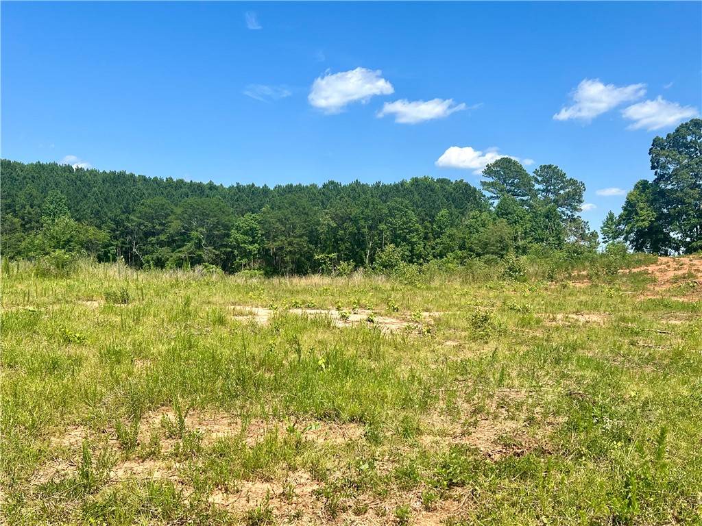 Walhalla, SC 29691,556 Poplar Springs- Tract A-2 RD