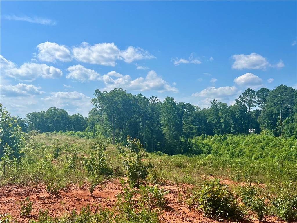 Walhalla, SC 29691,556 Poplar Springs- Tract A-2 RD