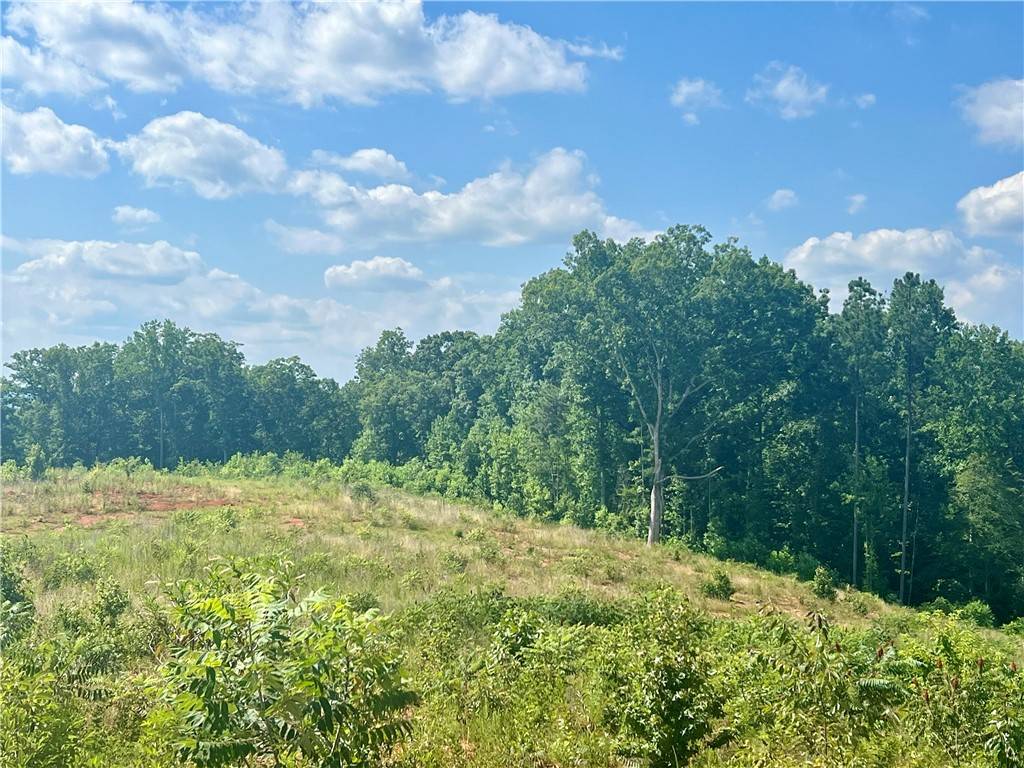 Walhalla, SC 29691,556 Poplar Springs- Tract A-2 RD