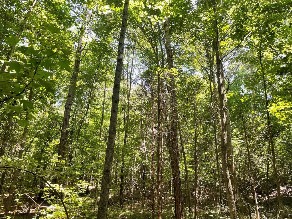 Honea Path, SC 29654,300 Oak Tree DR