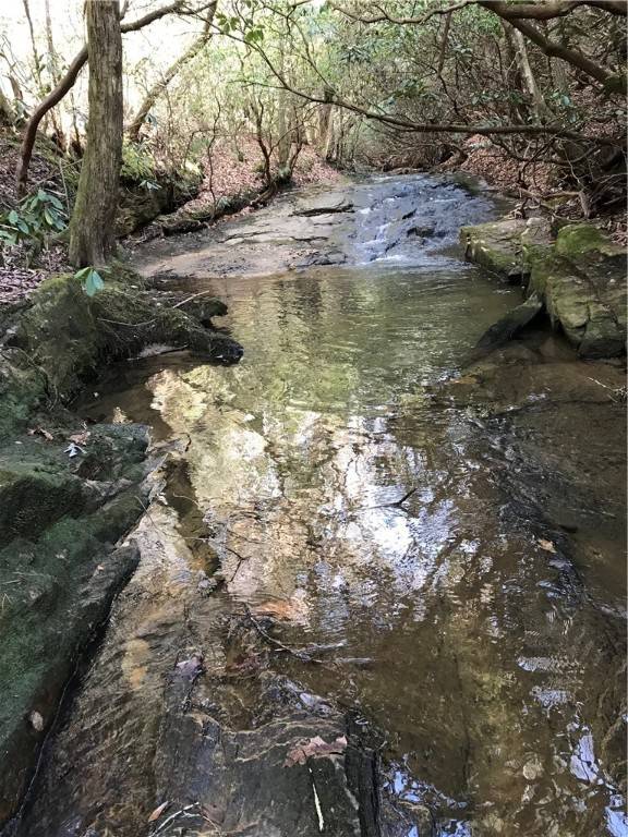 Walhalla, SC 29691,00 Marble Branch TRL
