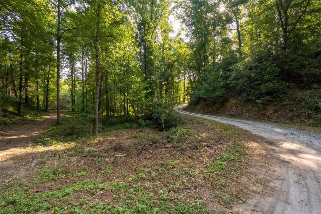 Salem, SC 29676,286 Nostradamus CT