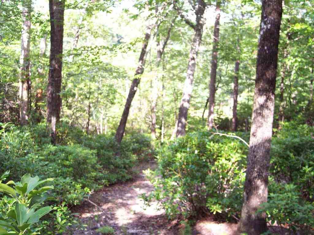 Cleveland, SC 29635,8 Woods Pond Crt Woods Pond CT