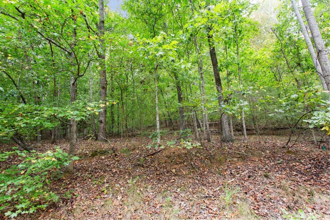 Westminster, SC 29693,00 S. Sundew DR