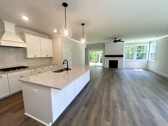 Townville, SC 29689,973 Andersonville RD