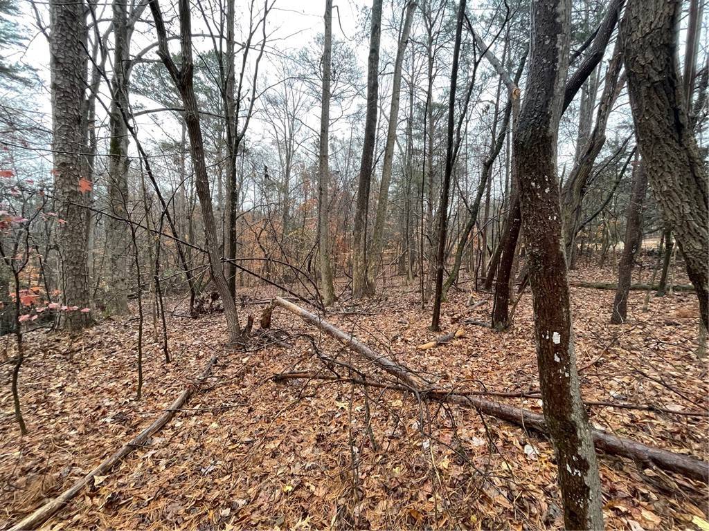 Westminster, SC 29693,Lot 850 Nicklaus RD