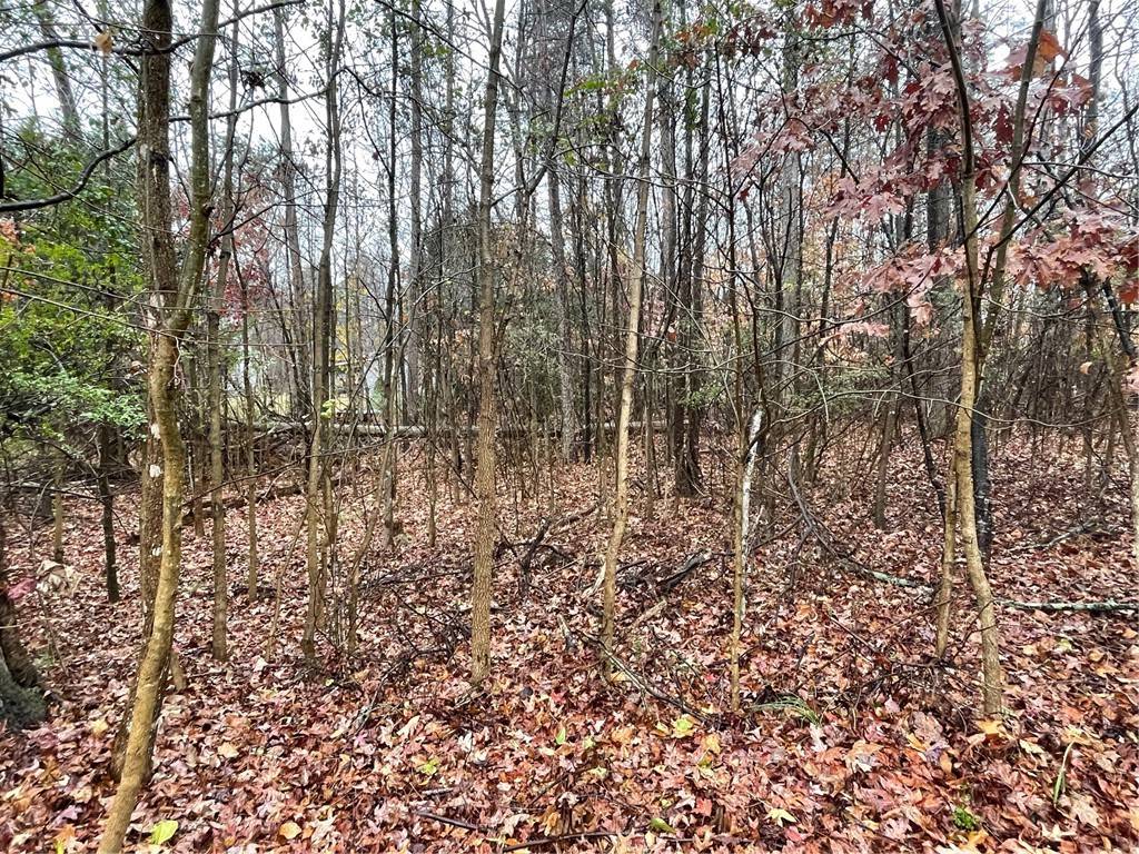 Westminster, SC 29693,Lot 806 Palmer LN