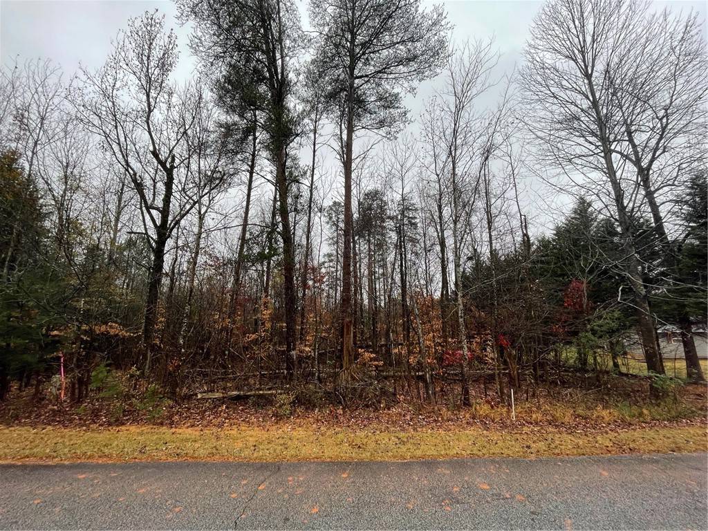 Westminster, SC 29693,Lot 806 Palmer LN