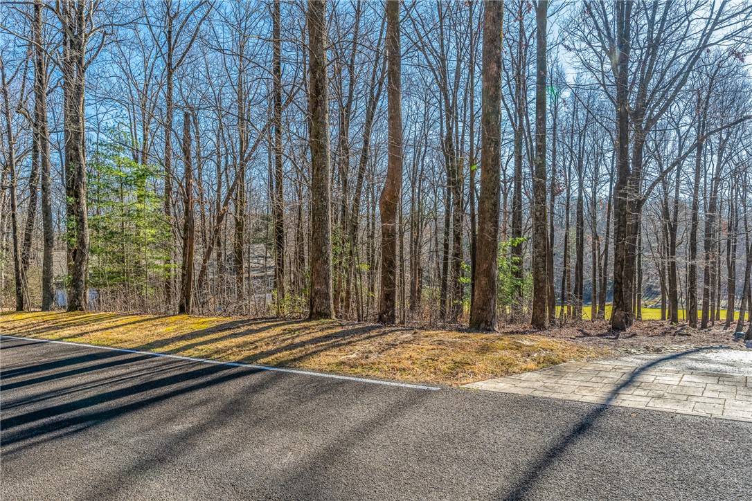 Landrum, SC 29356,46 Snap Dragon WAY