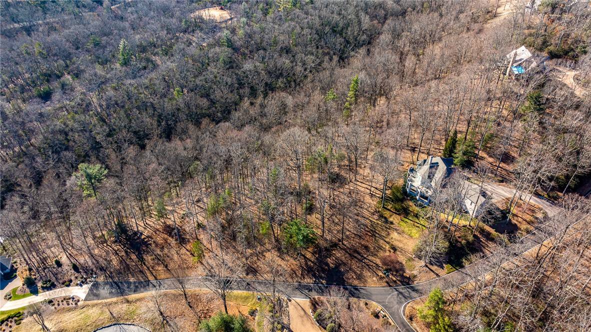 Landrum, SC 29356,100 Park Green WAY