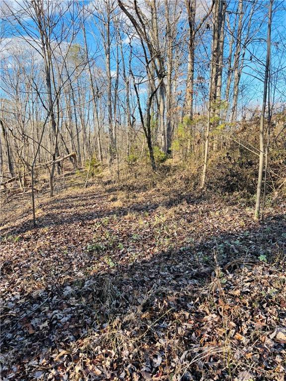 Pickens, SC 29671,107 Lesley DR