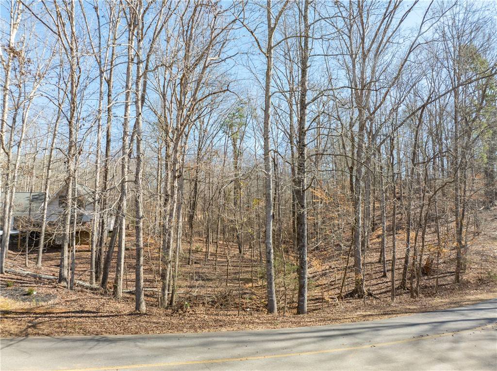 Westminster, SC 29693,Lot 97 N Foxglove RD