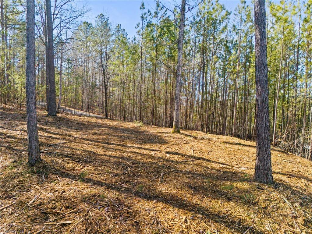 Salem, SC 29676,67A Long Cove TRL