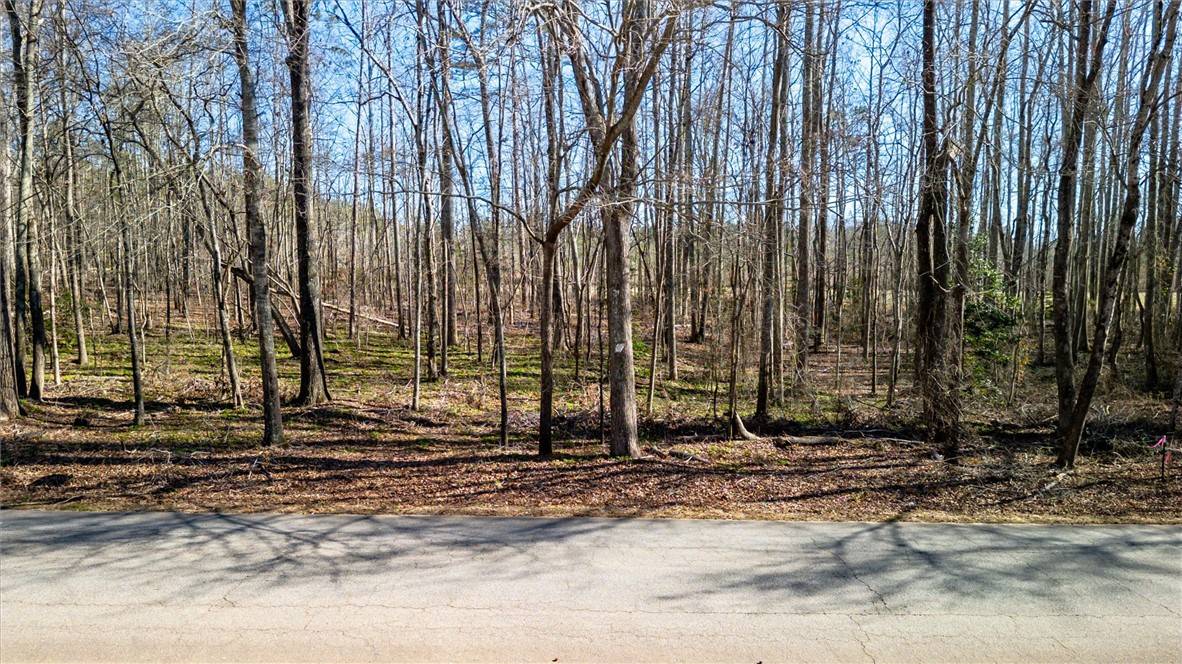 Pelzer, SC 29669,Lot 5 Broken Arrow DR