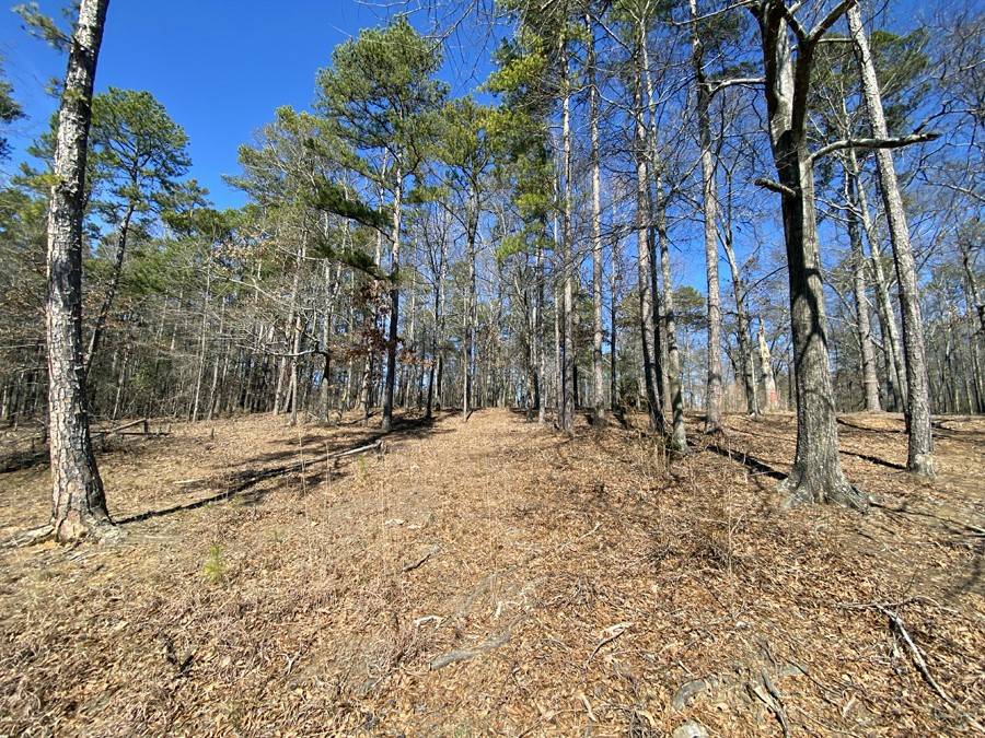 Hartwell, GA 30643,75 Majestic Shores LN