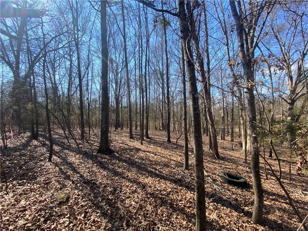 Hartwell, GA 30643,Lot 5 Majestic Shores RD