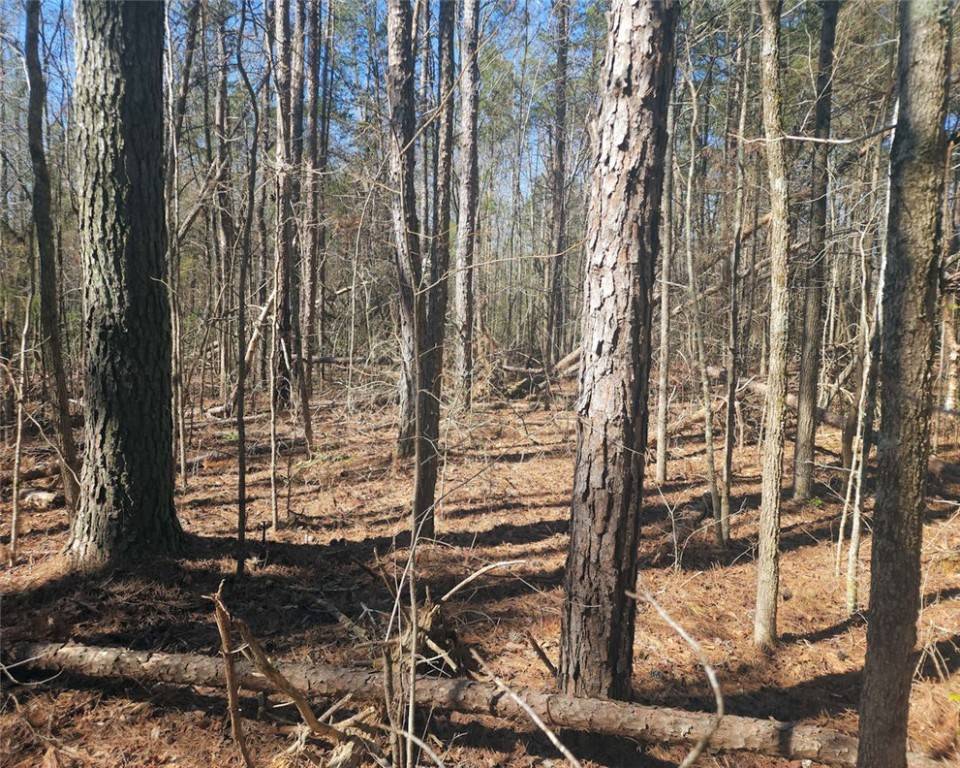 Belton, SC 29627,00 Corner RD